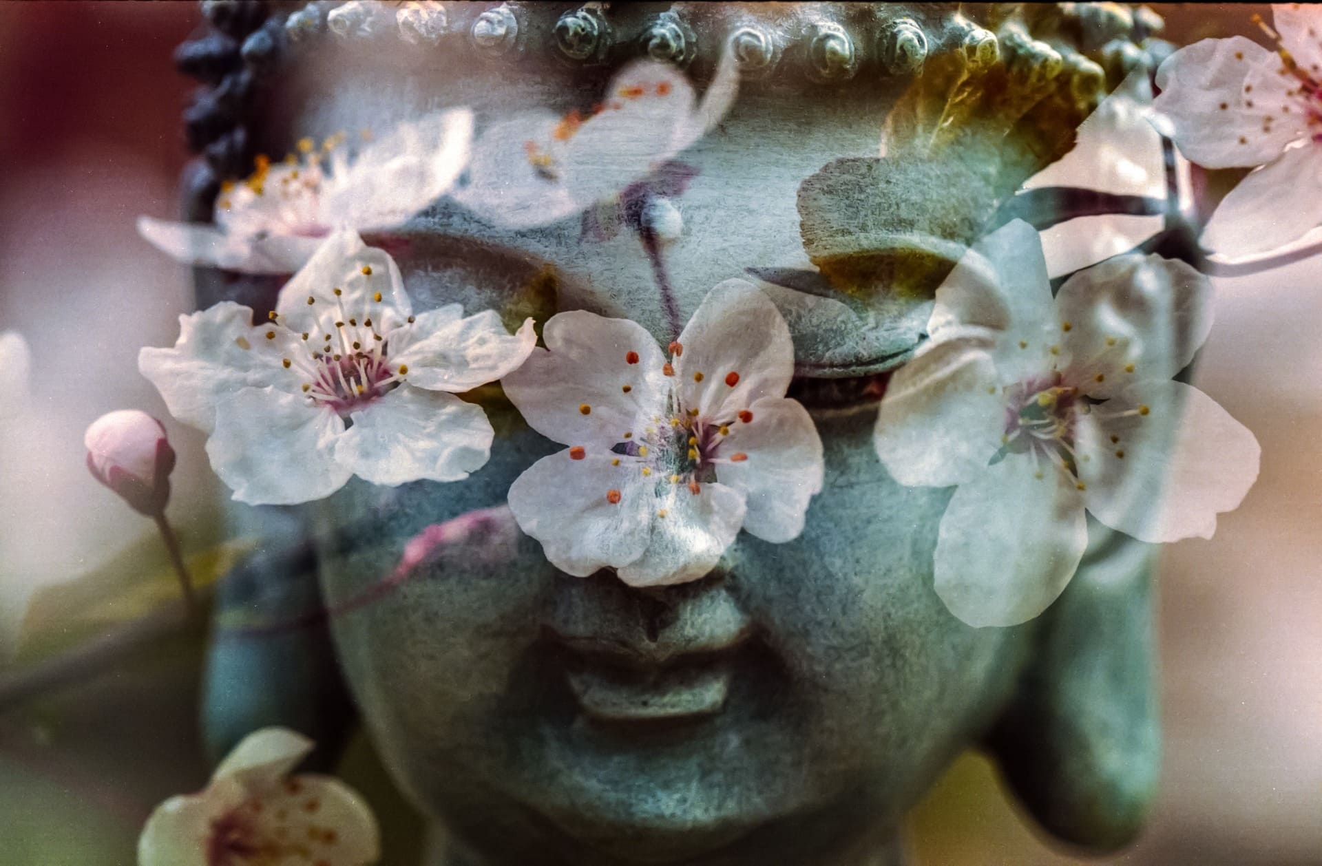Buddha, virágokkal, átadni magunkat